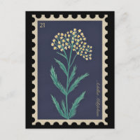 Vintag Botanische Achillea millefolium Flora