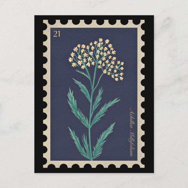 Vintag Botanische Achillea millefolium Flora Postkarte (Vorderseite)