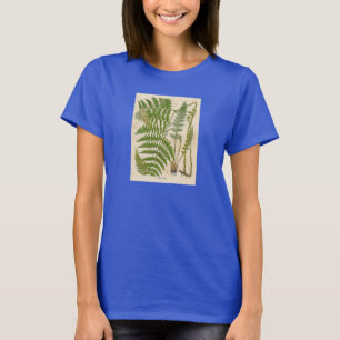 Vintag Botanische Printmedien - Bracken / Ferne T-Shirt