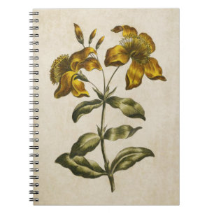 Vintag Botanisches Floral Johanniskraut Notizblock