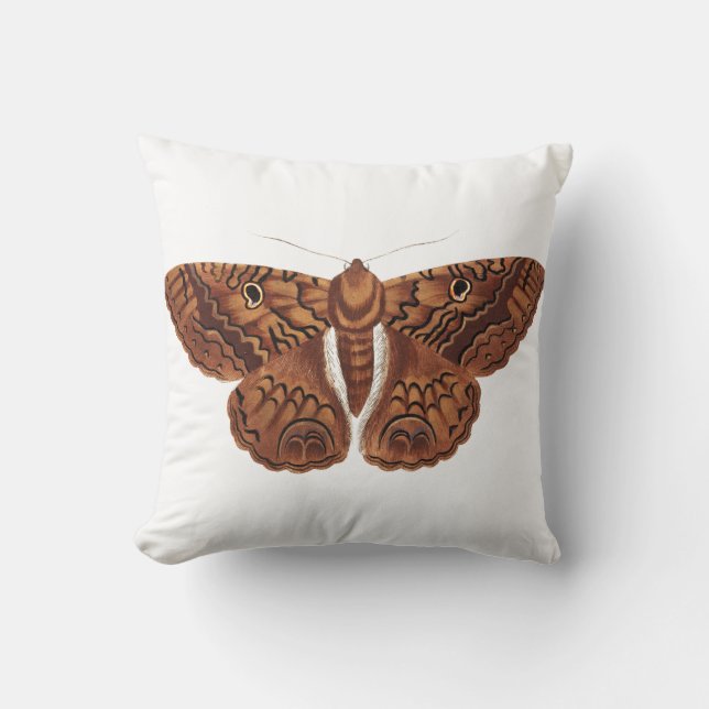 Vintag Brown Butterfly Illustration Kissen (Vorderseite)