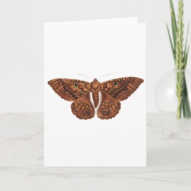Vintag Brown Butterfly Karte (Vorderseite)