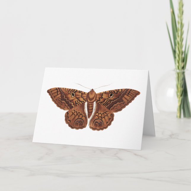 Vintag Brown Butterfly Karte (Vorderseite)