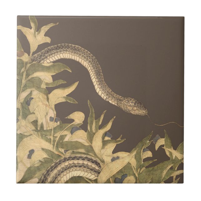 Vintag Brown Snake Fliese (Vorderseite)