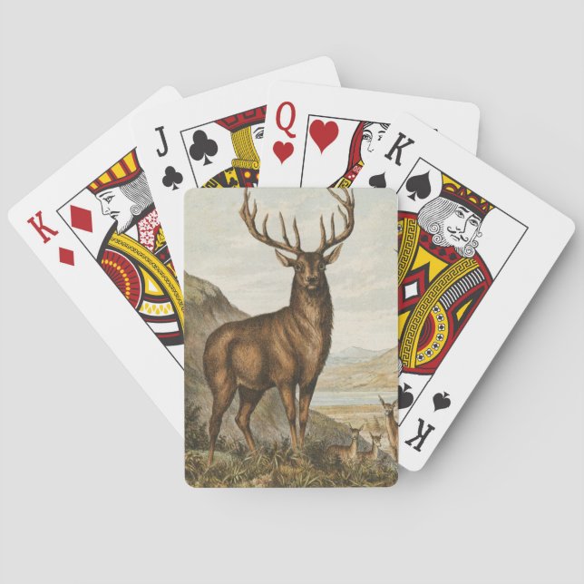 Vintag Buck Illustration Spielkarten (Rückseite)