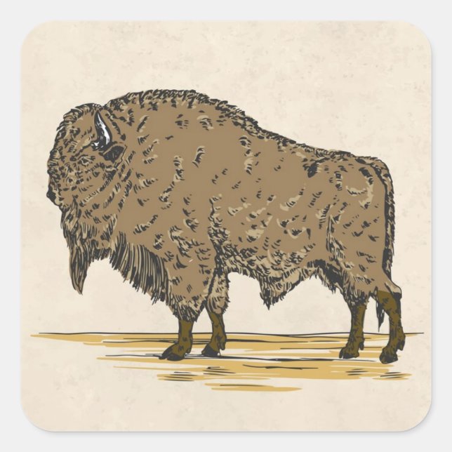 Vintag Buffalo Quadratischer Aufkleber (Vorderseite)