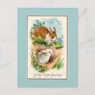 Vintag Bunnies Love Osterblauer Postkarte