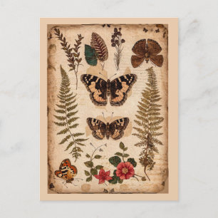 Vintag Butterflies Ferns Nature Journal Postkarte