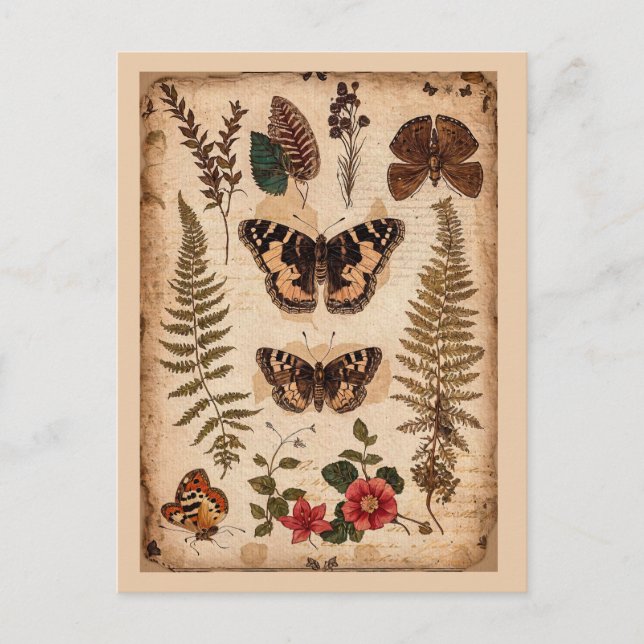 Vintag Butterflies Ferns Nature Journal Postkarte (Vorderseite)