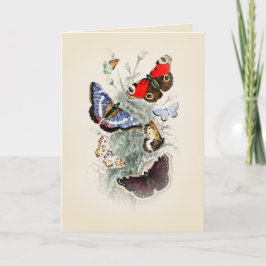 Vintag Butterfly Boho Chic Karte