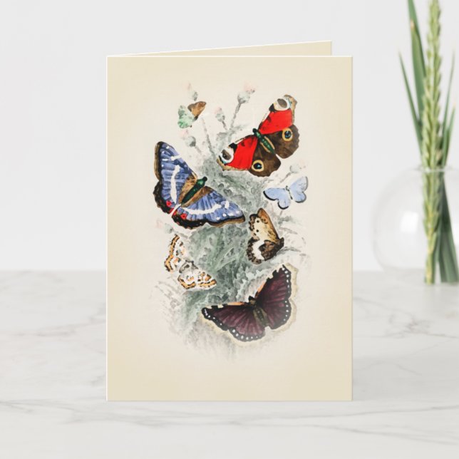 Vintag Butterfly Boho Chic Karte (Vorderseite)
