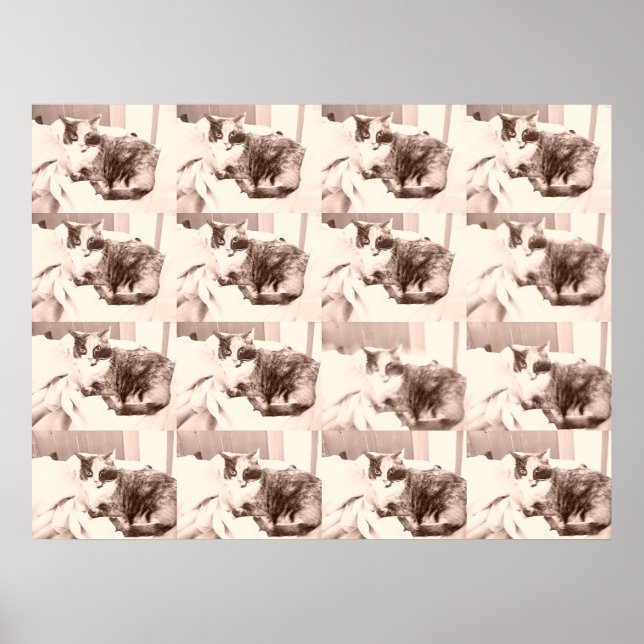 Vintag Calico Cat Poster (Vorne)