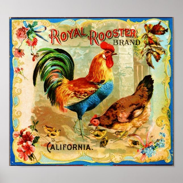 Vintag California Royal Rooster Poster (Vorne)