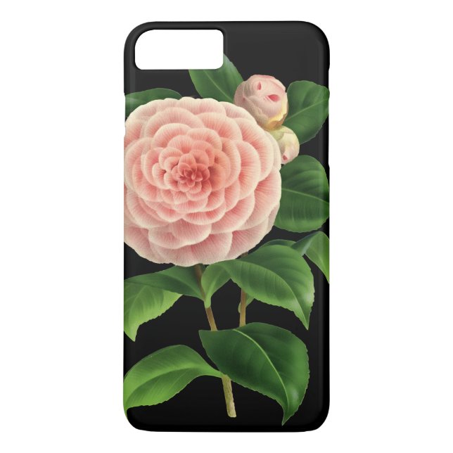 Vintag Camellia Blossom Botanical Case-Mate iPhone Hülle (Rückseite)