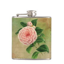 Vintag Camellia, Französisch botanisch