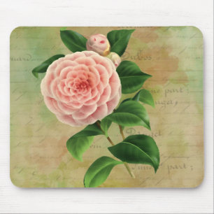 Vintag Camellia, Französisch botanisch Mousepad