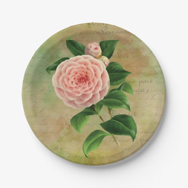 Vintag Camellia, Französisch botanisch Pappteller (Vorderseite)