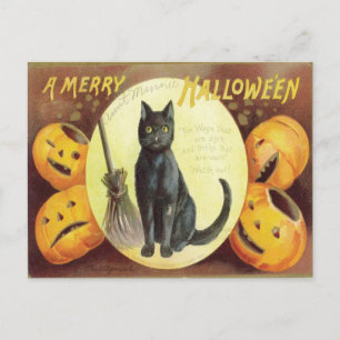 Vintag Cat Halloween Postkarte