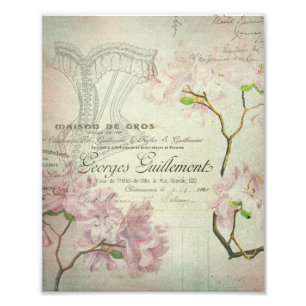 Vintag Chic Französisch Script Shabby Blume Corset Fotodruck