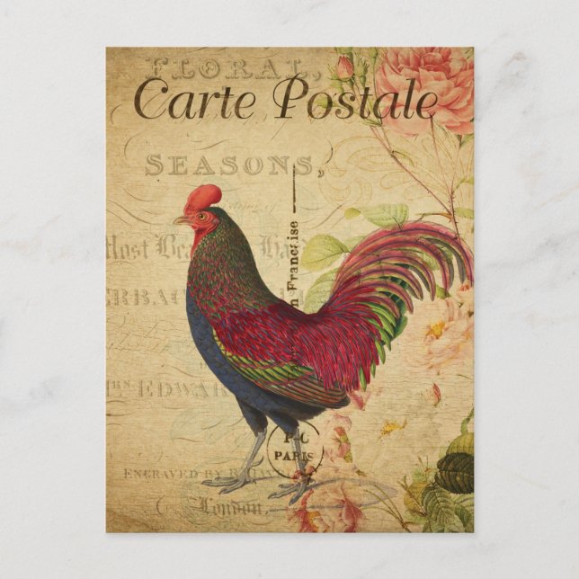 Vintag Chicken Hen Rooster - Französisch Postkarte (Vorderseite)
