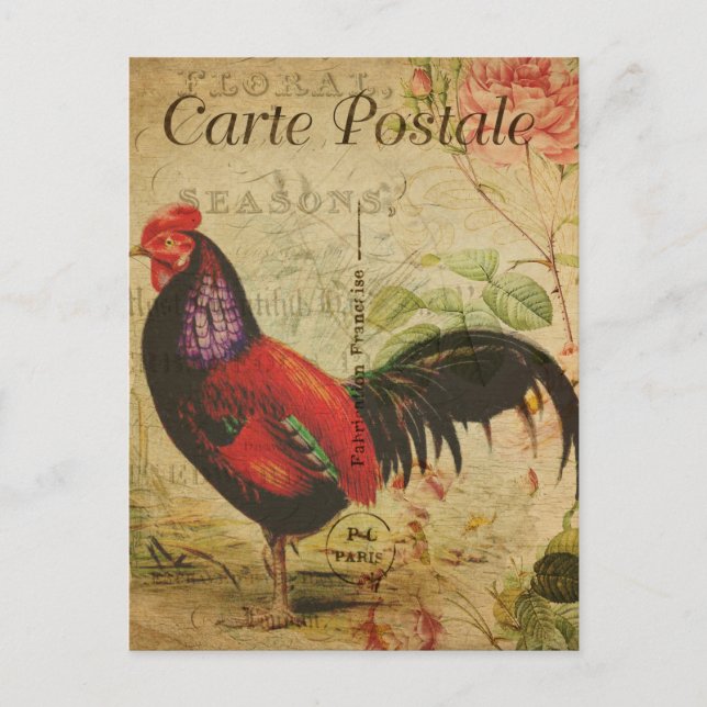 Vintag Chicken Hen Rooster - Französisch Postkarte (Vorderseite)