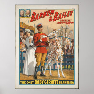 Vintag: Circus Barnum & Bailey - Poster
