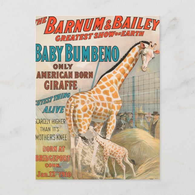 Vintag: Circus Barnum & Bailey - Postkarte (Vorderseite)