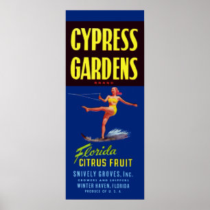 Vintag Cypress Gardens Florida Citrus Frucht Poster