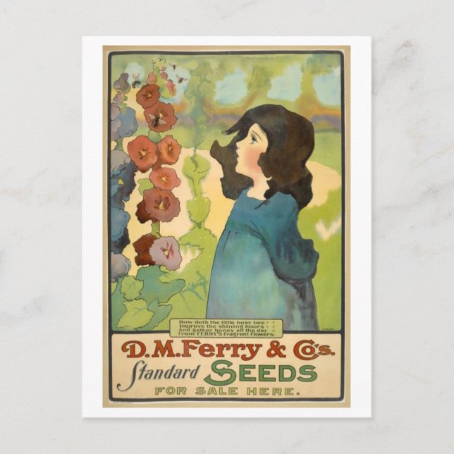 Vintag D. M. Ferry & Co. Samenwerbung Postkarte (Vorderseite)