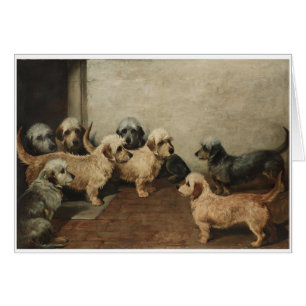 Vintag - Dandie Dinmont Terrier-Hunde,