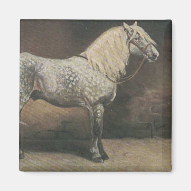 Vintag Dapple Gray Magnet (Vorne)