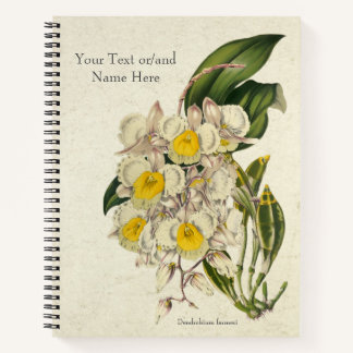Vintag Dendrobium farmeri Orchid Notizbuch
