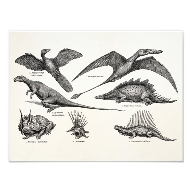 Vintag Dinosaurier Illustration Retro Dinosaurier Fotodruck (Vorne)