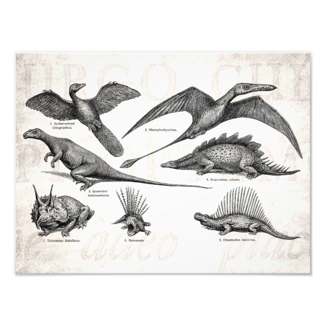 Vintag Dinosaurier Illustration Retro Dinosaurier Fotodruck (Vorne)