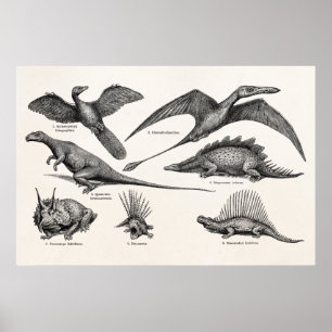 Vintag Dinosaurier Illustration Retro Dinosaurier Poster