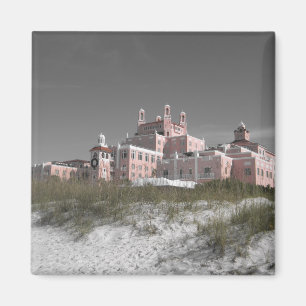 Vintag Don CeSar Magnet