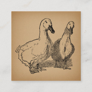 Vintag Duck Art Two Ducks Illustration Begleitkarte