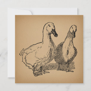 Vintag Duck Art Two Ducks Illustration Einladung