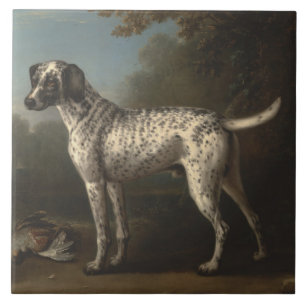 Vintag ein grauer Gepunkteter Hund John Wootton Fliese