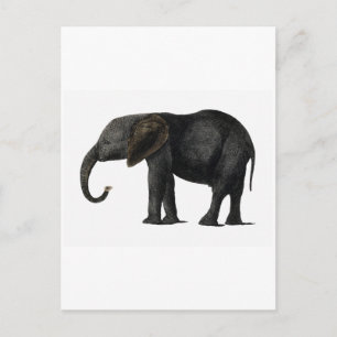 VINTAG ELEPHANT POSTCARD POSTKARTE