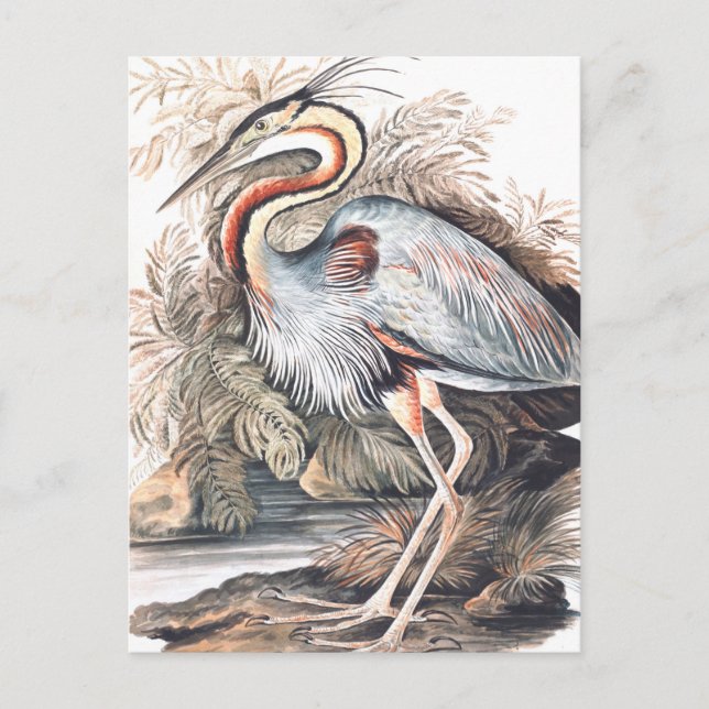 Vintag Elizabeth Gwillim Lila Heron   Postkarte (Vorderseite)