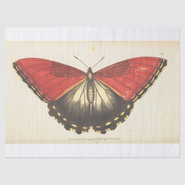 Vintag Ephemera Red Butterfly Moth Decoupage Seidenpapier (Vorderseite)