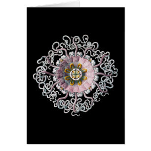 Vintag Ernst Haeckel