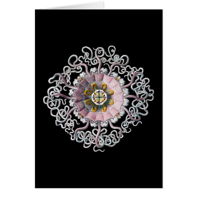 Vintag Ernst Haeckel (Vorne)