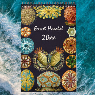 Vintag Ernst Haeckel, Biologie, Botanik, Wissensch Kalender