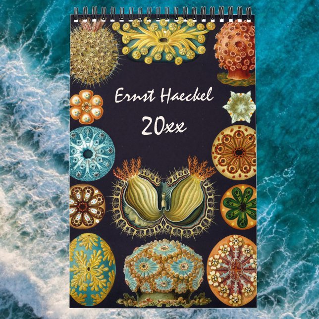 Vintag Ernst Haeckel, Biologie, Botanik, Wissensch Kalender (Von Creator hochgeladen)