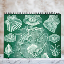 Vintag Ernst Haeckel, Biologie, Botanik, Wissensch