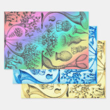 Vintag Ernst Haeckel rekolored Marine Life