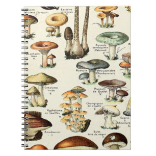 Vintag essbare Mushroom Chart Notizblock