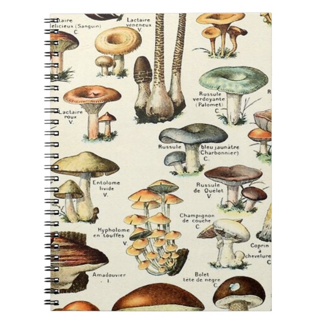 Vintag essbare Mushroom Chart Notizblock (Vorderseite)
